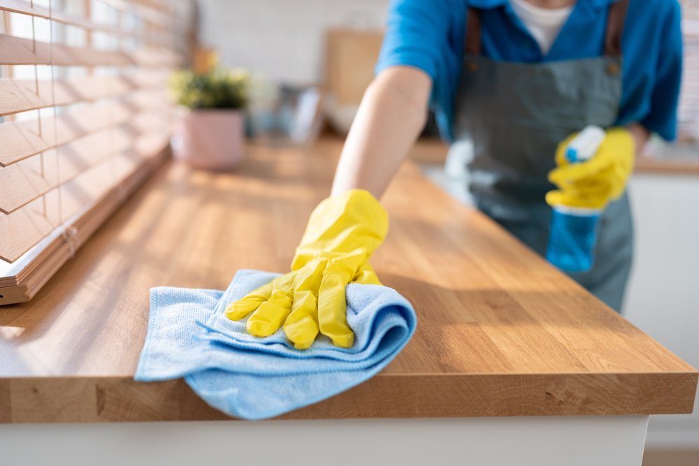 Ağlı Ev Temizliği